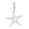 Starfish Shell Sterling Silver 925 Pendant