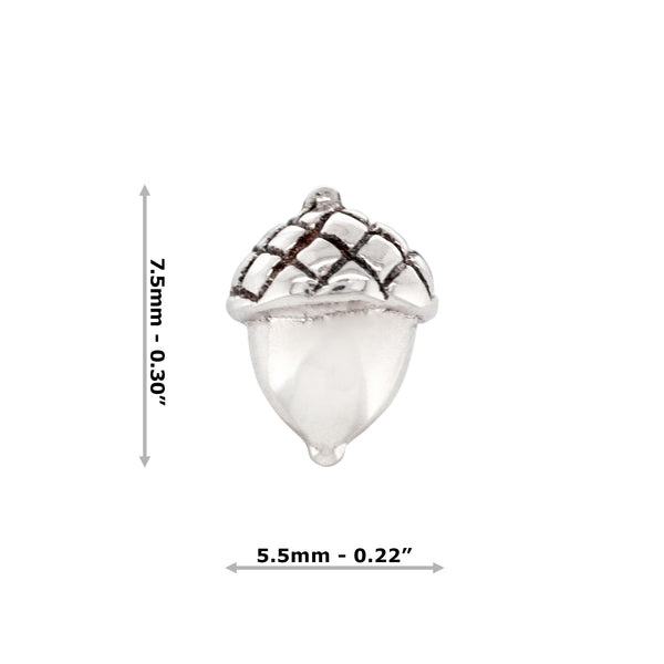 Silver acorn stud earring with dimensions on a white background