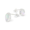 Silver earrings with mother of pearl shells on a white background